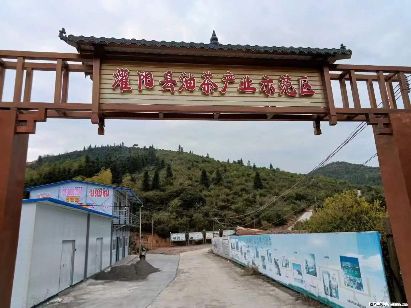 【灌阳县油茶产业示范区】一个有着充实的精神生活的人,对待身外之物自会有一种淡泊的态度 - 美食天地 - 成都生活社区 - 成都28生活网 cd.28life.com