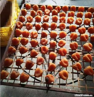 广西桂林平乐桥亭【柿饼之乡】2025年纯手工制作、无任何添加剂的第一批柿饼准备上市了，欢迎联系订购！ - 成都28生活网 cd.28life.com