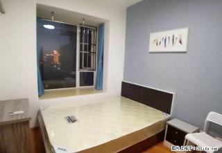 (单间出租)温馨合租 金牛区 金府银座旁 押一付一 可月付 - 成都28生活网 cd.28life.com