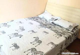 (单间出租)一环路北二段100号主卧出租750元 - 成都28生活网 cd.28life.com