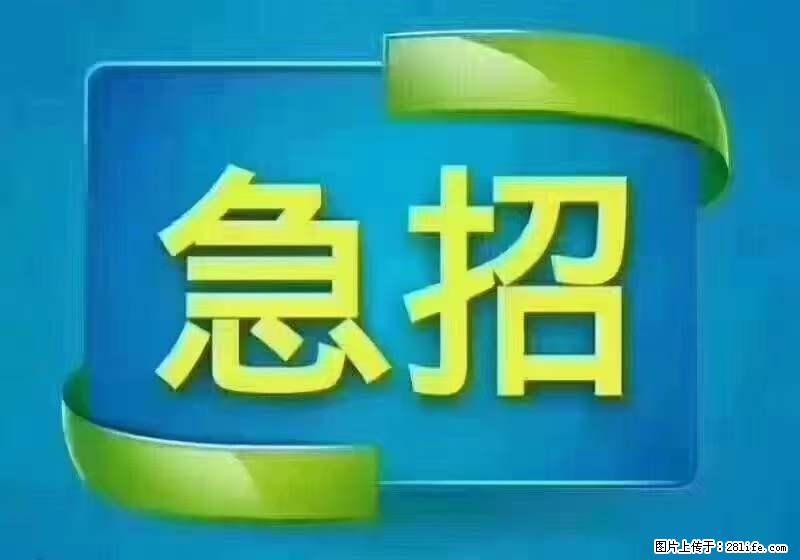 招财务，有会计证的，熟手会计1.1万底薪，上海五险一金，包住，包工作餐，做六休一 - 人事/行政/管理 - 招聘求职 - 成都分类信息 - 成都28生活网 cd.28life.com