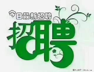 上海青浦区招仓管 - 成都28生活网 cd.28life.com