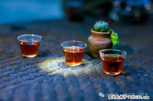 时间果百年古树2025年春红茶 - 购物交流 - 成都生活社区 - 成都28生活网 cd.28life.com