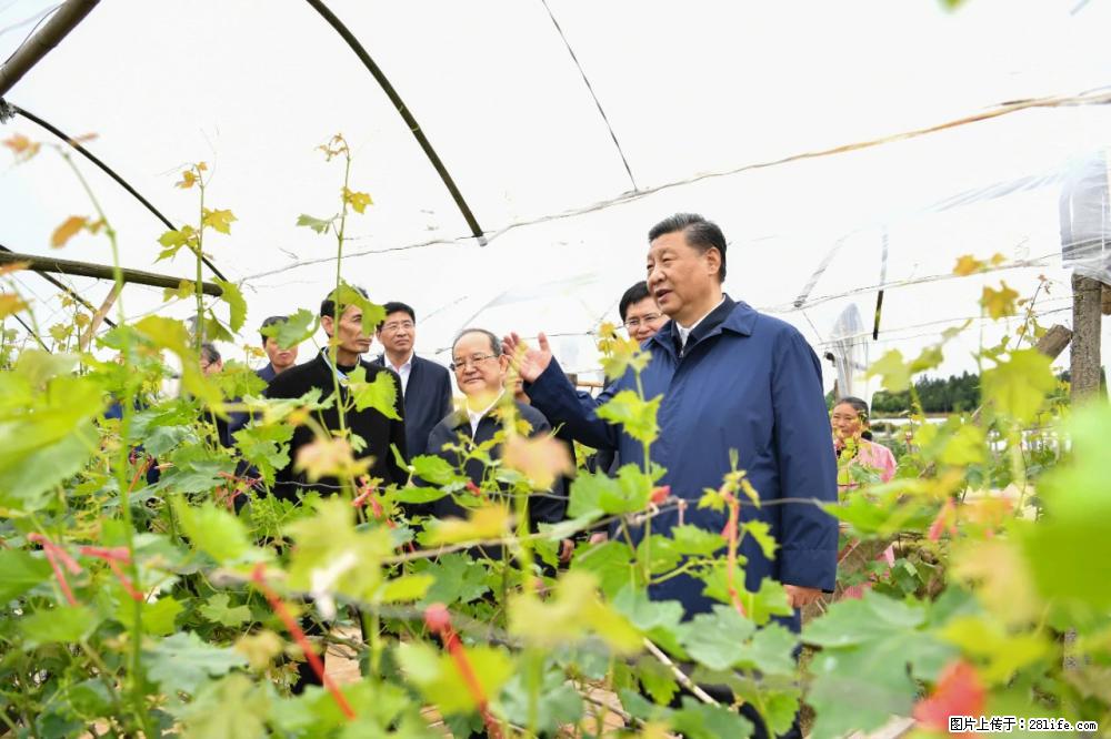 习近平赴广西考察调研 - 成都生活资讯 - 成都28生活网 cd.28life.com