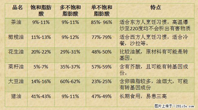 揭秘茶油的5大核心营养成分!被称为人体健康的“守护盾”! - 成都生活资讯 - 成都28生活网 cd.28life.com
