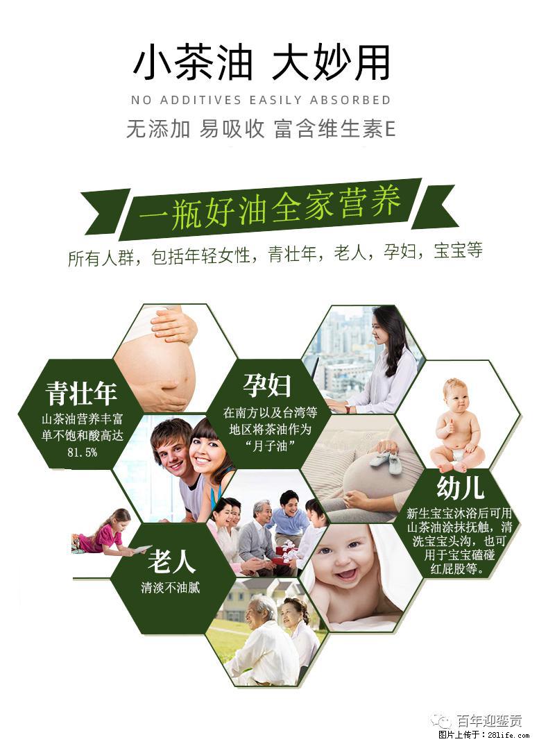 世界没有真相,只有认知,最好的食用油是中国的山茶油! - 成都生活资讯 - 成都28生活网 cd.28life.com