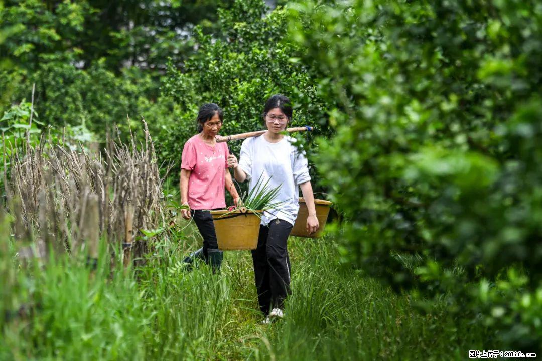 全网追的“扁担女孩”，找了一份暑假工，时薪12元 - 成都生活资讯 - 成都28生活网 cd.28life.com