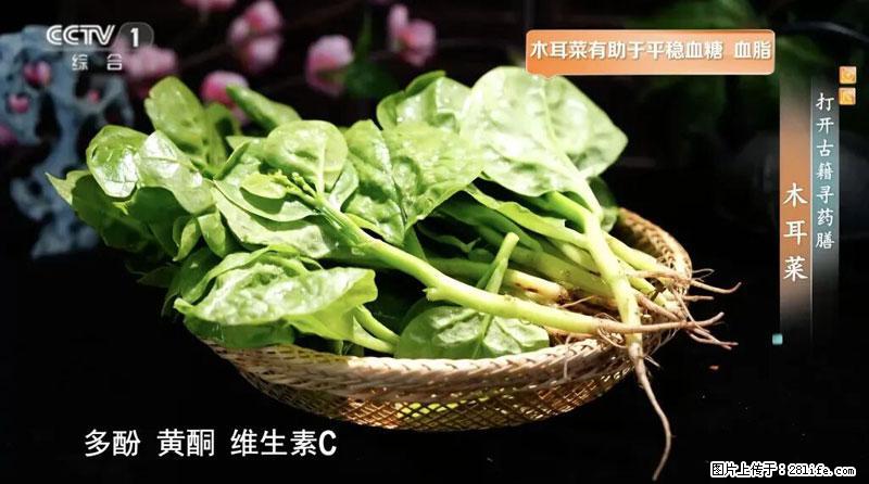 比牛奶补钙还厉害！凉血解毒、稳血糖...这菜冬天必吃，很多人却当草 - 成都生活资讯 - 成都28生活网 cd.28life.com