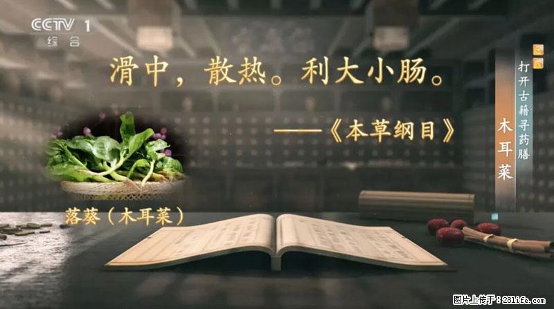 比牛奶补钙还厉害！凉血解毒、稳血糖...这菜冬天必吃，很多人却当草 - 成都生活资讯 - 成都28生活网 cd.28life.com