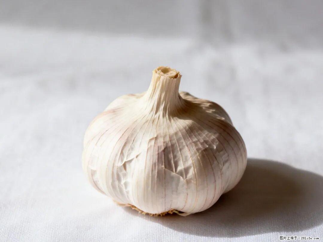 关于大蒜，除了“天然抗生素”，这4个谣言更该警惕! - 成都生活资讯 - 成都28生活网 cd.28life.com