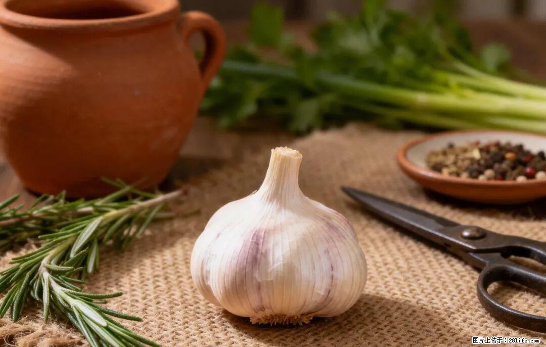 关于大蒜，除了“天然抗生素”，这4个谣言更该警惕! - 成都生活资讯 - 成都28生活网 cd.28life.com