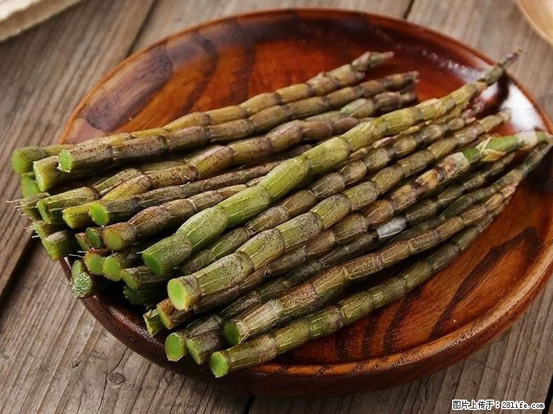 铁皮石斛的作用与功能主治 - 成都生活资讯 - 成都28生活网 cd.28life.com