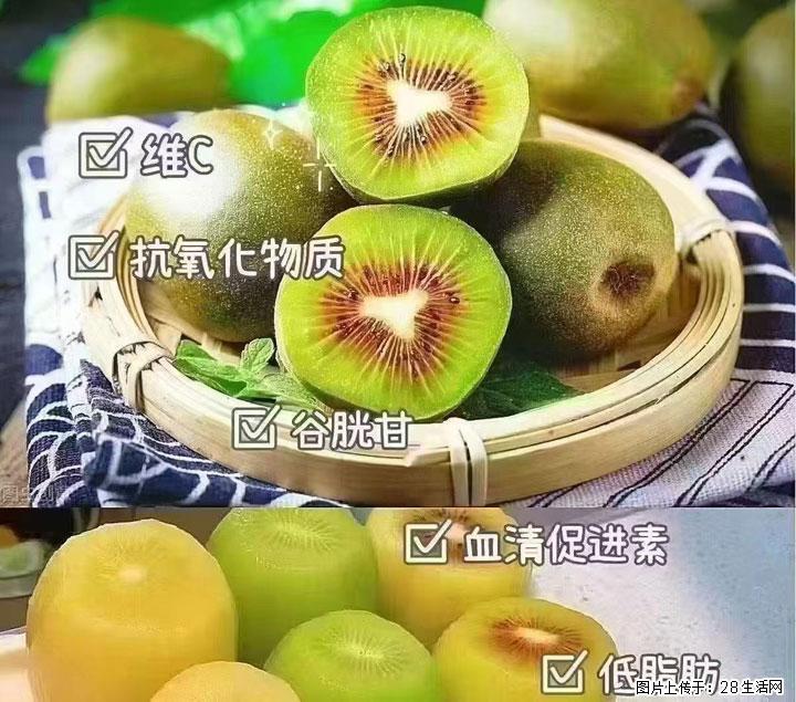 广西桂林平乐桥亭【红心猕猴桃】、【大秋甜柿】上市啦，欢迎各位新老客户下单（另有少量小果出售） - 成都生活资讯 - 成都28生活网 cd.28life.com