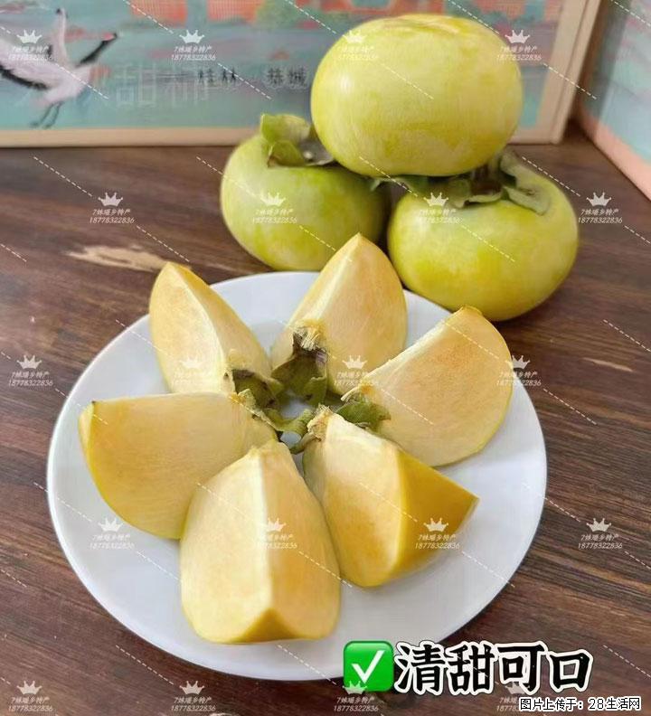 广西桂林平乐桥亭【红心猕猴桃】、【大秋甜柿】上市啦，欢迎各位新老客户下单（另有少量小果出售） - 成都生活资讯 - 成都28生活网 cd.28life.com